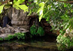 בתי הארחה בירושלים והסביבה