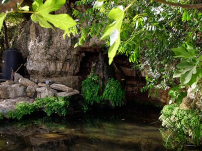 בתי הארחה בירושלים והסביבה